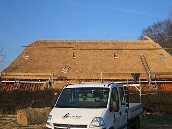 rietdekken, een ambacht