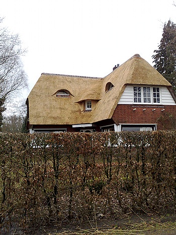 rietdekken, een ambacht