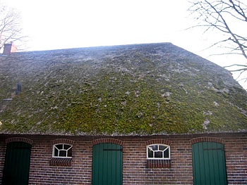 rietdekken, een ambacht